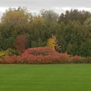 Meet your Posher, Aleisha